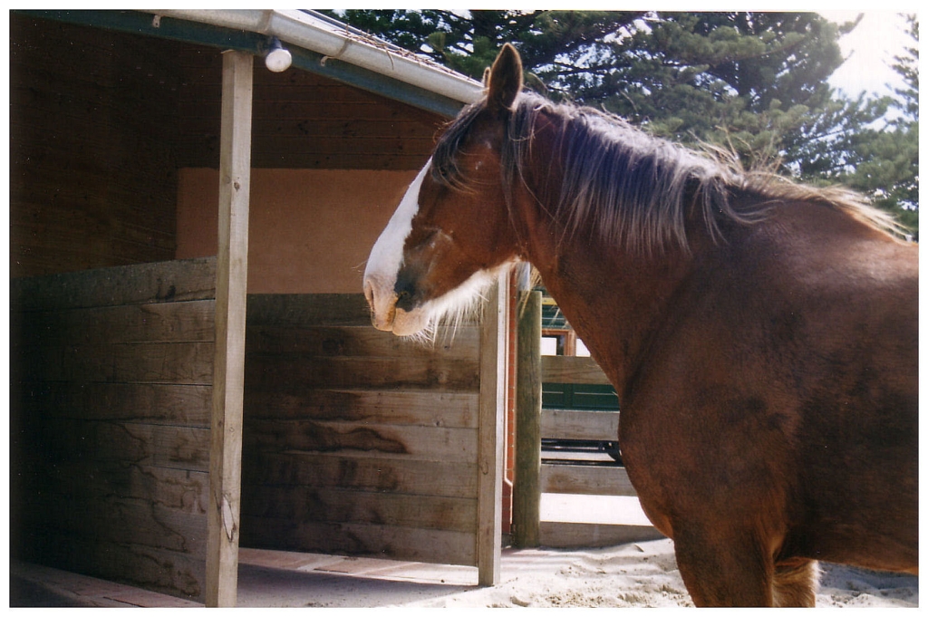 04 - South Australia (4).jpg